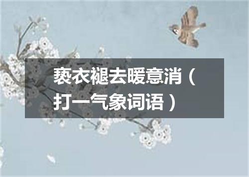 亵衣褪去暖意消（打一气象词语）