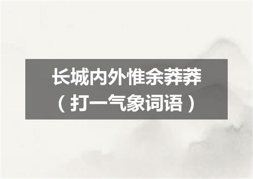 长城内外惟余莽莽（打一气象词语）