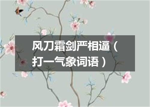 风刀霜剑严相逼（打一气象词语）