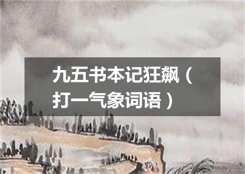 九五书本记狂飙（打一气象词语）