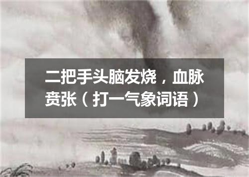 二把手头脑发烧，血脉贲张（打一气象词语）