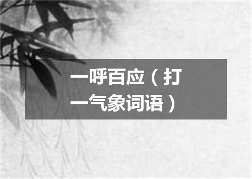 一呼百应（打一气象词语）