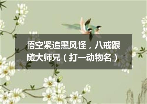 悟空紧追黑风怪，八戒跟随大师兄（打一动物名）