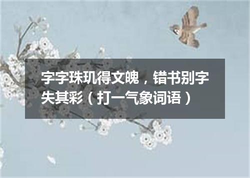 字字珠玑得文魄，错书别字失其彩（打一气象词语）