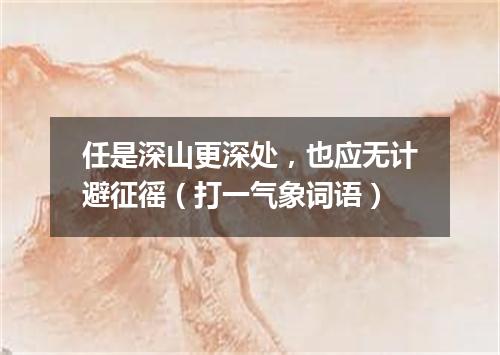 任是深山更深处，也应无计避征徭（打一气象词语）