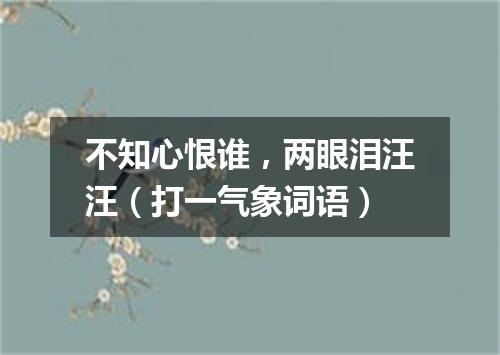 不知心恨谁，两眼泪汪汪（打一气象词语）