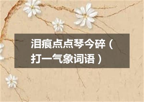 泪痕点点琴今碎（打一气象词语）