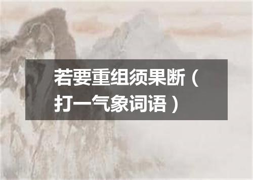 若要重组须果断（打一气象词语）