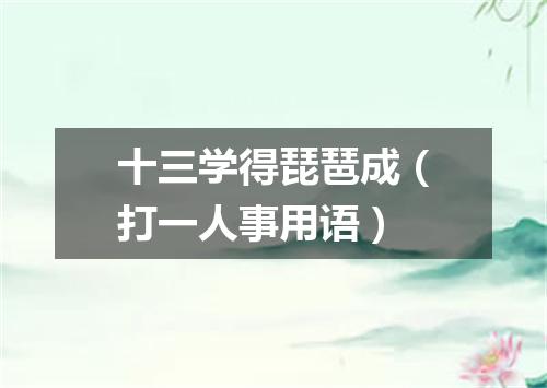 十三学得琵琶成（打一人事用语）