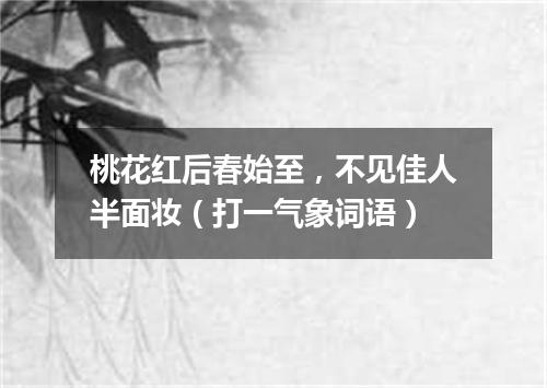 桃花红后春始至，不见佳人半面妆（打一气象词语）