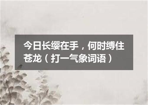 今日长缨在手，何时缚住苍龙（打一气象词语）