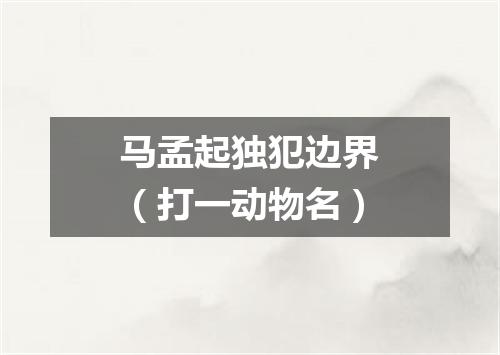 马孟起独犯边界（打一动物名）