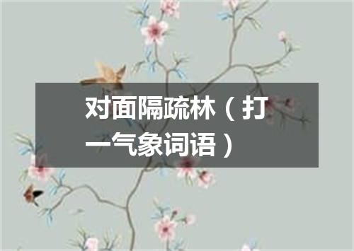 对面隔疏林（打一气象词语）