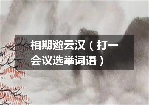 相期邈云汉（打一会议选举词语）