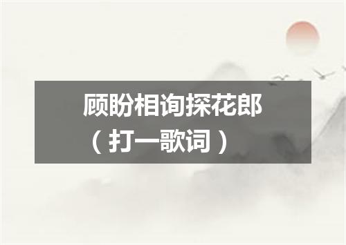 顾盼相询探花郎（打一歌词）