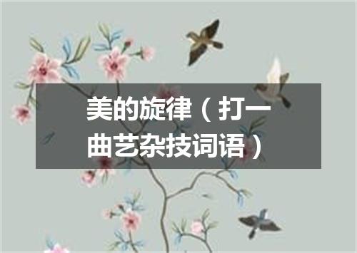 美的旋律（打一曲艺杂技词语）