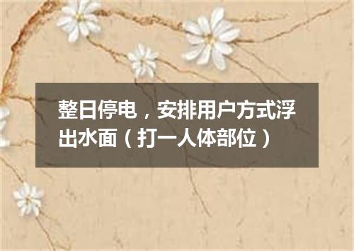 整日停电，安排用户方式浮出水面（打一人体部位）
