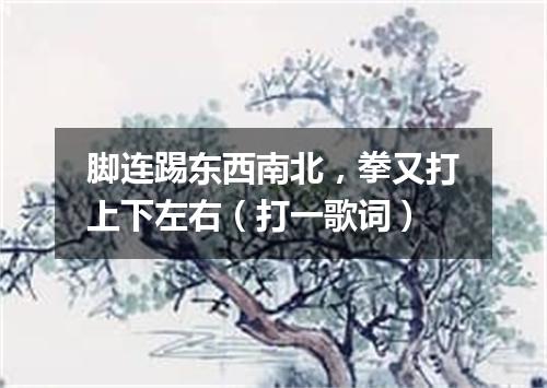 脚连踢东西南北，拳又打上下左右（打一歌词）