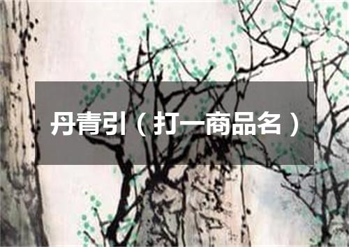 丹青引（打一商品名）