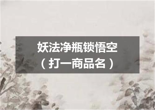 妖法净瓶锁悟空（打一商品名）