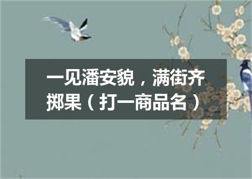 一见潘安貌，满街齐掷果（打一商品名）