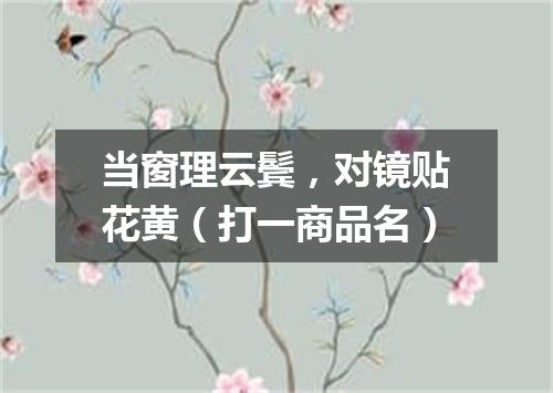 当窗理云鬓，对镜贴花黄（打一商品名）