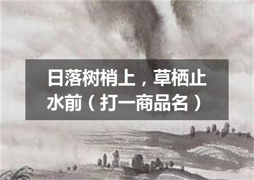 日落树梢上，草栖止水前（打一商品名）
