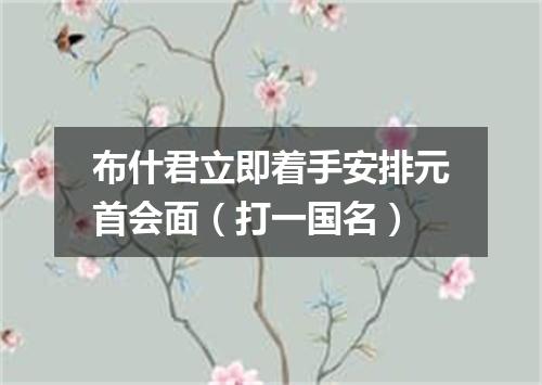布什君立即着手安排元首会面（打一国名）