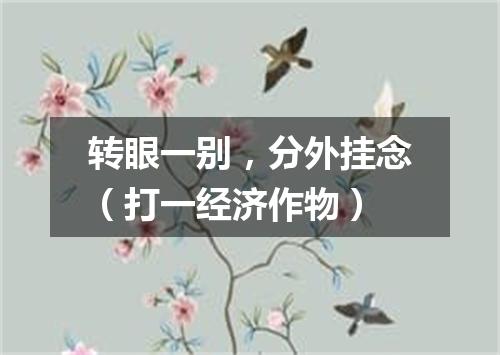 转眼一别，分外挂念（打一经济作物）