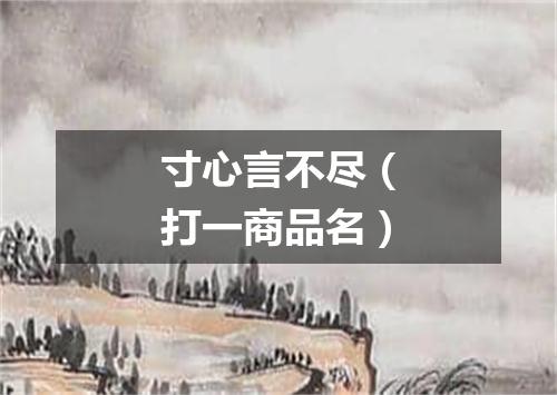 寸心言不尽（打一商品名）