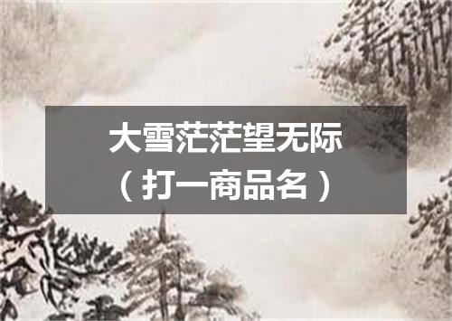 大雪茫茫望无际（打一商品名）
