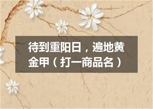 待到重阳日，遍地黄金甲（打一商品名）