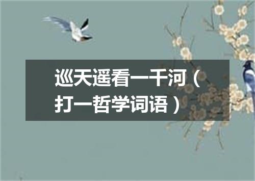 巡天遥看一千河（打一哲学词语）