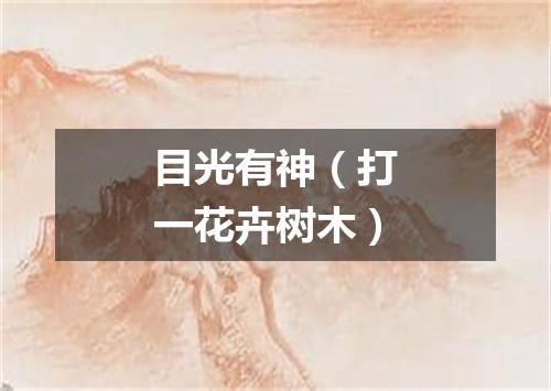 目光有神（打一花卉树木）