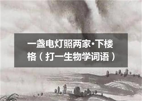 一盏电灯照两家·下楼格（打一生物学词语）