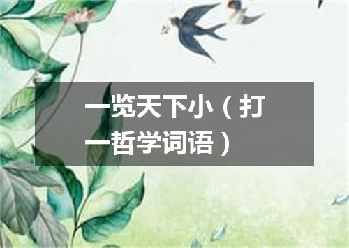 一览天下小（打一哲学词语）