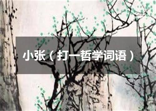 小张（打一哲学词语）