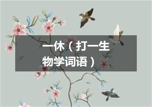 一休（打一生物学词语）