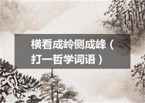 横看成岭侧成峰（打一哲学词语）