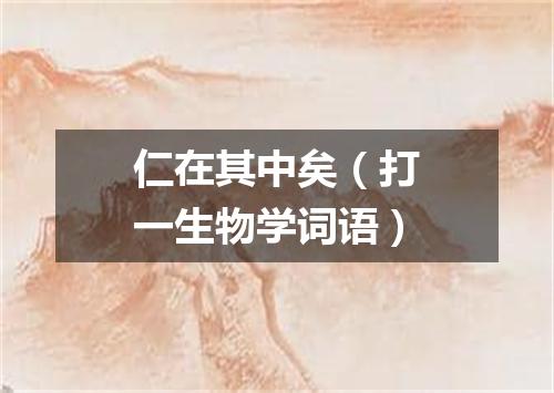 仁在其中矣（打一生物学词语）