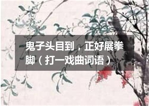 鬼子头目到，正好展拳脚（打一戏曲词语）