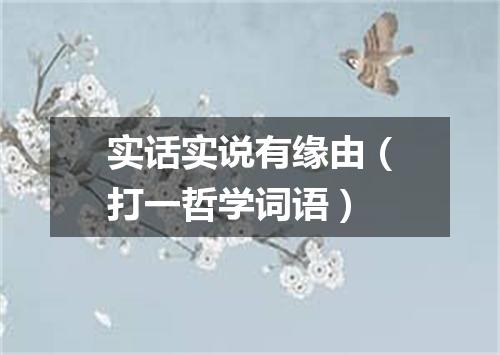 实话实说有缘由（打一哲学词语）