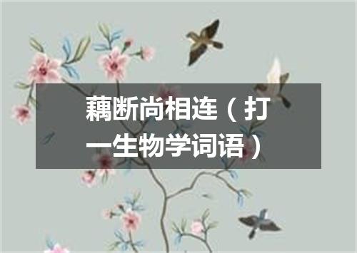 藕断尚相连（打一生物学词语）