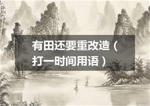 有田还要重改造（打一时间用语）