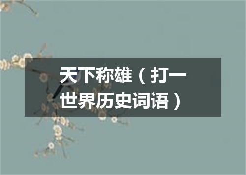 天下称雄（打一世界历史词语）