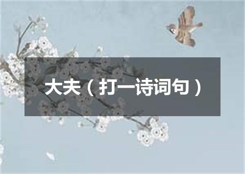 大夫（打一诗词句）