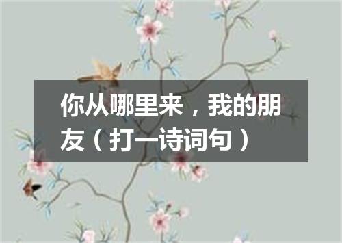 你从哪里来，我的朋友（打一诗词句）