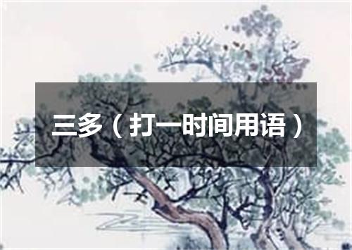 三多（打一时间用语）