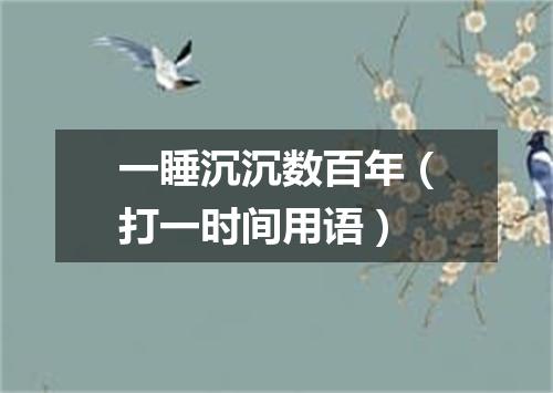 一睡沉沉数百年（打一时间用语）