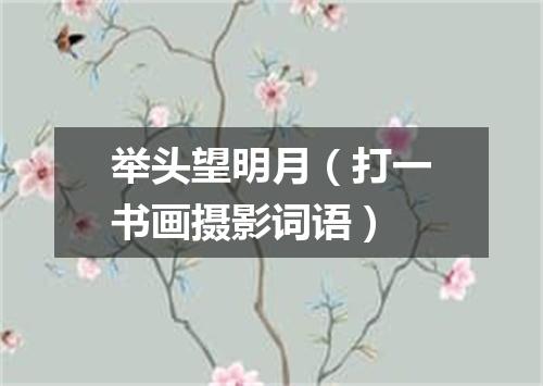 举头望明月（打一书画摄影词语）